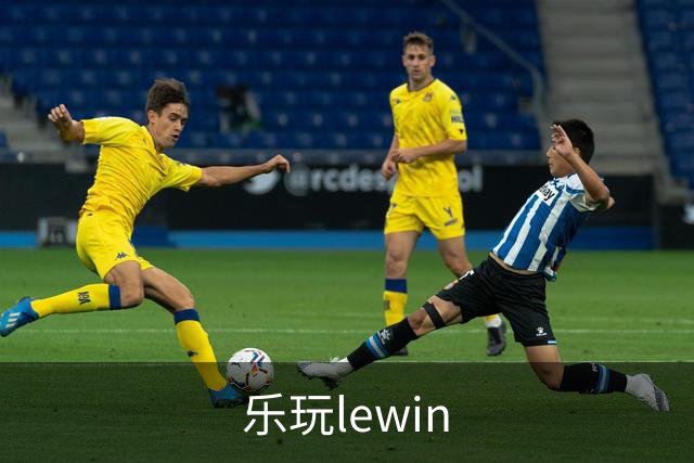 乐玩lewin公司简介图片